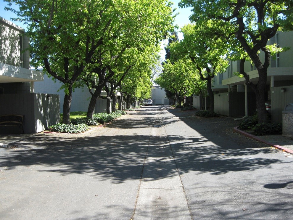 Pomeroy Green